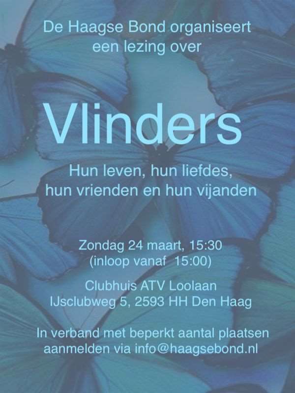 Vlinders